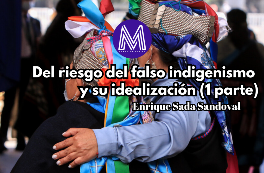 Del riesgo del falso indigenismo y su idealización (1 parte)